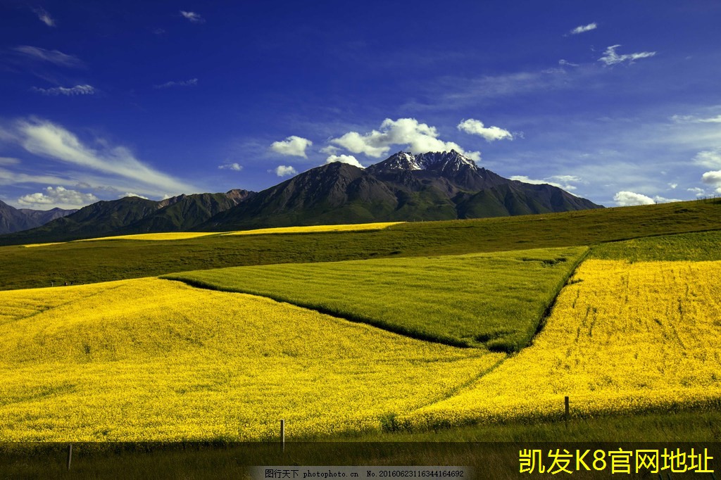 停車道閘的市場(chǎng)趨勢(shì)分析