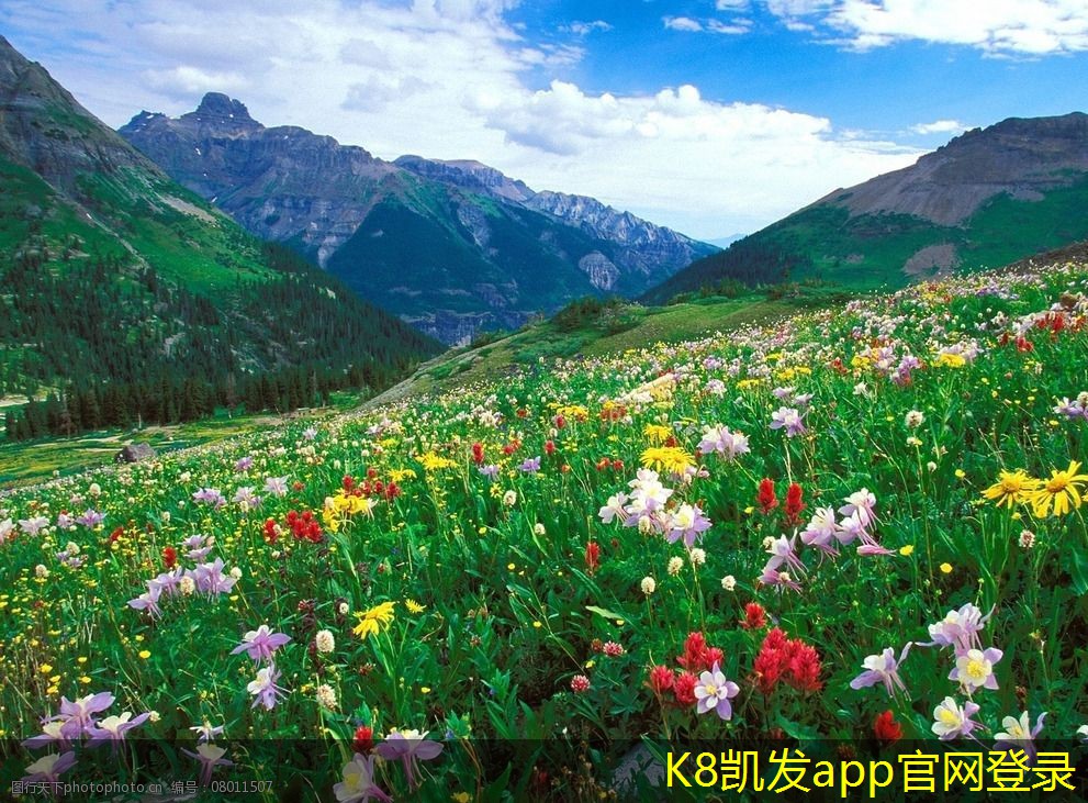 利用門禁考勤數(shù)據(jù)進行人力資源分析