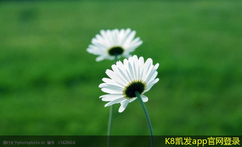 可視對講的多媒體功能介紹