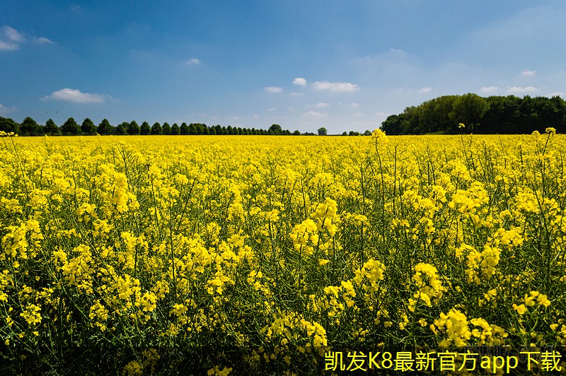 可視對(duì)講的市場競爭格局分析