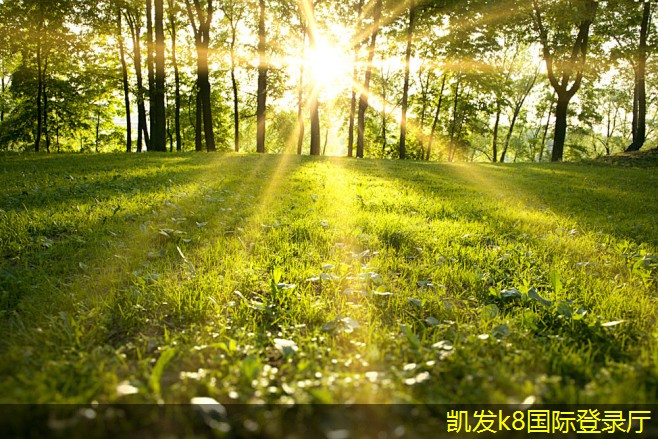 門禁考勤在校園管理中的重要性